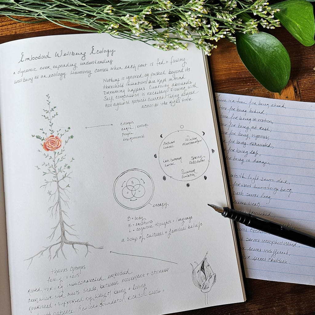 Embodied Wellbeing Ecology Journal Page